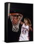 Female Basketball Player Dunking a Ball Through the Hoop-null-Framed Stretched Canvas