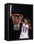 Female Basketball Player Dunking a Ball Through the Hoop-null-Framed Stretched Canvas