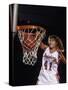 Female Basketball Player Dunking a Ball Through the Hoop-null-Stretched Canvas