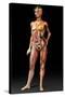 Female Body, Artwork-Jose Antonio-Stretched Canvas