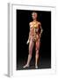 Female Body, Artwork-Jose Antonio-Framed Premium Photographic Print