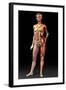 Female Body, Artwork-Jose Antonio-Framed Premium Photographic Print