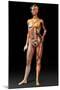 Female Body, Artwork-Jose Antonio-Mounted Premium Photographic Print