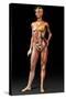 Female Body, Artwork-Jose Antonio-Stretched Canvas
