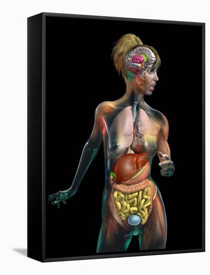 Female Body, Artwork-Jose Antonio-Framed Stretched Canvas