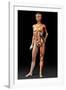 Female Body, Artwork-Jose Antonio-Framed Photographic Print