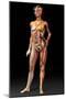 Female Body, Artwork-Jose Antonio-Mounted Photographic Print