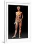 Female Body, Artwork-Jose Antonio-Framed Photographic Print