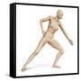 Female Body in Dynamic Posture with Lymphatic System Superimposed-null-Framed Stretched Canvas