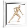 Female Body in Dynamic Posture with Lymphatic System Superimposed-null-Framed Art Print