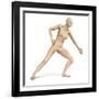 Female Body in Dynamic Posture with Lymphatic System Superimposed-null-Framed Art Print