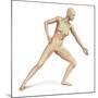 Female Body in Dynamic Posture with Lymphatic System Superimposed-null-Mounted Art Print