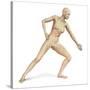 Female Body in Dynamic Posture with Lymphatic System Superimposed-null-Stretched Canvas