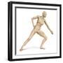 Female Body in Dynamic Posture with Lymphatic System Superimposed-null-Framed Art Print