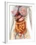 Female Body Showing Digestive And Circulatory System-Stocktrek Images-Framed Photographic Print