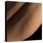 Female Body Texture. Closeup Part of Woman's Body. Skincare, Healthcare, Hygiene and Medicine Conce-master1305-Stretched Canvas