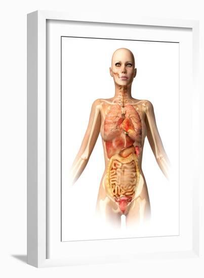 Female Body with Bone Skeleton and Internal Organs Superimposed-null-Framed Art Print