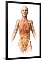 Female Body with Bone Skeleton and Internal Organs Superimposed-null-Framed Art Print
