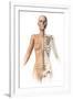 Female Body with Bone Skeleton Superimposed-null-Framed Art Print