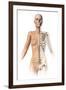 Female Body with Bone Skeleton Superimposed-null-Framed Art Print