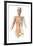 Female Body with Bone Skeleton Superimposed-null-Framed Art Print