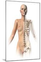 Female Body with Bone Skeleton Superimposed-null-Mounted Art Print