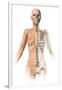 Female Body with Bone Skeleton Superimposed-null-Framed Art Print