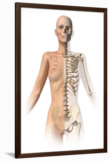 Female Body with Bone Skeleton Superimposed-null-Framed Art Print