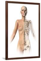 Female Body with Bone Skeleton Superimposed-null-Framed Art Print