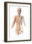 Female Body with Bone Skeleton Superimposed-null-Framed Art Print