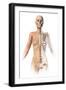 Female Body with Bone Skeleton Superimposed-null-Framed Art Print