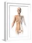 Female Body with Bone Skeleton Superimposed-null-Framed Art Print