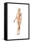 Female Body with Full Endocrine System Superimposed-null-Framed Stretched Canvas