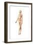 Female Body with Full Endocrine System Superimposed-null-Framed Art Print