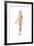 Female Body with Full Endocrine System Superimposed-null-Framed Art Print