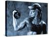 Female Bodybuilder with Dumbbell-null-Stretched Canvas