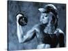 Female Bodybuilder with Dumbbell-null-Stretched Canvas