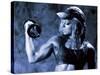 Female Bodybuilder with Dumbbell-null-Stretched Canvas