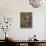 Female Broad-Tailed Hummingbird (Selasphorus Platycercus) Feeding at a Walkingstick (Cane) Cholla-James Hager-Stretched Canvas displayed on a wall