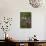 Female Broad-Tailed Hummingbird (Selasphorus Platycercus) Feeding at a Walkingstick (Cane) Cholla-James Hager-Framed Stretched Canvas displayed on a wall