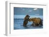 Female Brown bear with cub playing in lake Kuril, Kamchatka-Valeriy Maleev-Framed Photographic Print