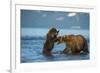 Female Brown bear with cub playing in lake Kuril, Kamchatka-Valeriy Maleev-Framed Photographic Print