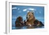 Female Brown bear with two cubs eating fish, Kamchatka-Valeriy Maleev-Framed Photographic Print
