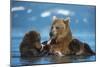 Female Brown bear with two cubs eating fish, Kamchatka-Valeriy Maleev-Mounted Photographic Print