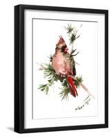 Female Cardinal-Suren Nersisyan-Framed Art Print
