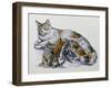 Female Cat Nursing Her Kittens (Felis Catus), Felidae-null-Framed Giclee Print