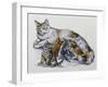 Female Cat Nursing Her Kittens (Felis Catus), Felidae-null-Framed Giclee Print