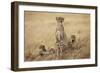 Female Cheetah with Cubs in Tall Grass-Paul Souders-Framed Photographic Print