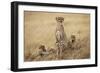 Female Cheetah with Cubs in Tall Grass-Paul Souders-Framed Photographic Print