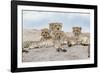 Female cheetah with five large cubs on kopje, Serengeti National Park, Tanzania, Africa-Adam Jones-Framed Photographic Print